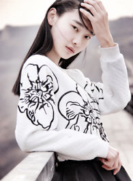 索微