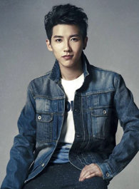 贾征宇
