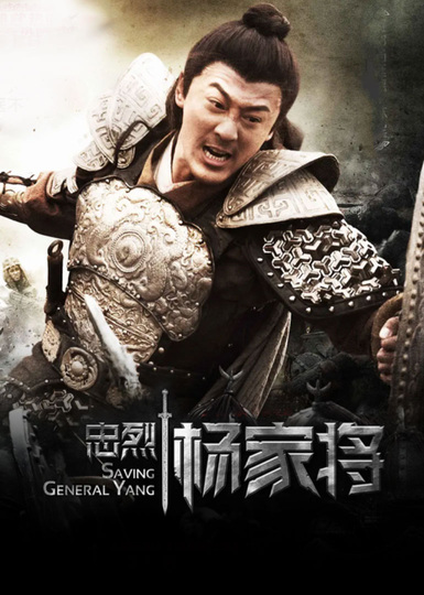 忠烈杨家将版