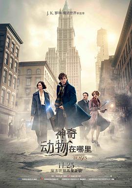 奇异动物在哪里?