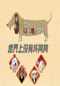 世界上没有坏狗狗2019