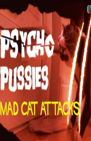 进击的猫咪英语
