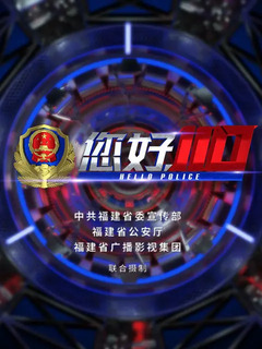您好,110第二季