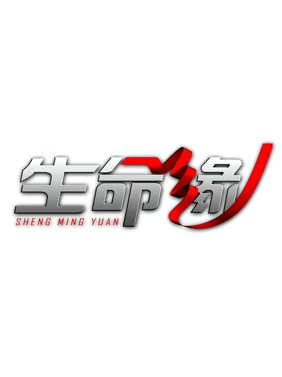 生命缘第八季