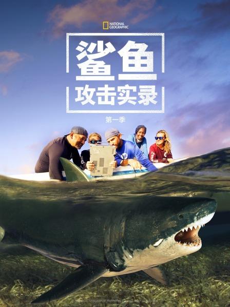 鲨鱼攻击实录第一季