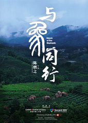 与象同行