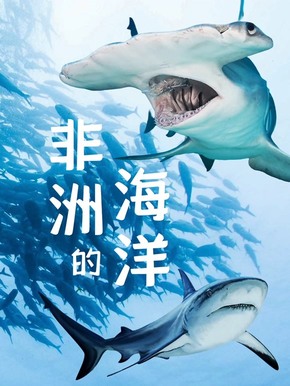 非洲的海洋