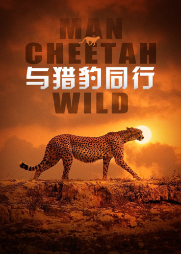 与猎豹同行