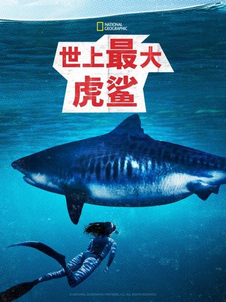 世上最大虎鲨