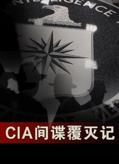 CIA间谍覆灭记