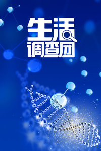 生活调查团