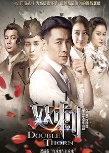 双刺DVD版