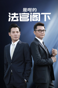 是咁的,法官阁下