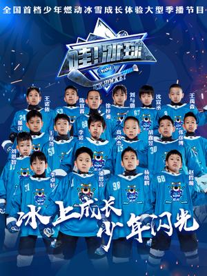 哇!冰球