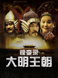 大明王朝惊变录
