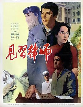 见习律师1982电影解说